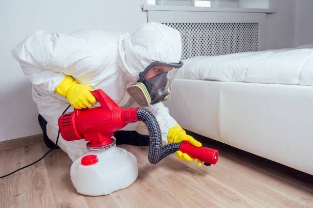 Best Real Estate Pest Inspections  in Strasburg, CO